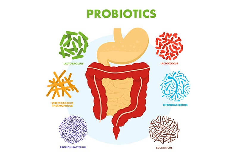 probiotics