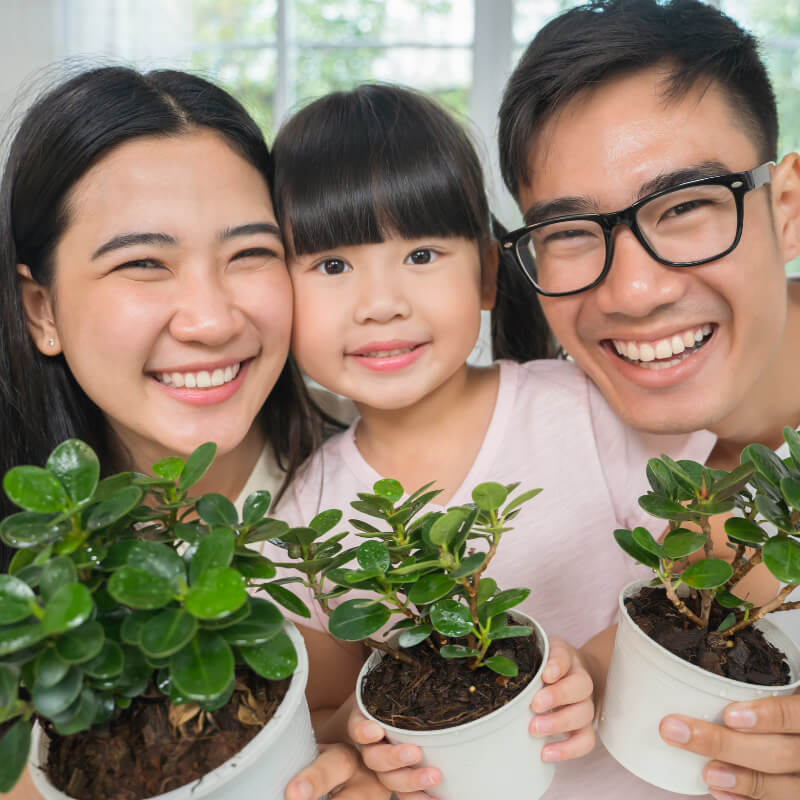 a family planting