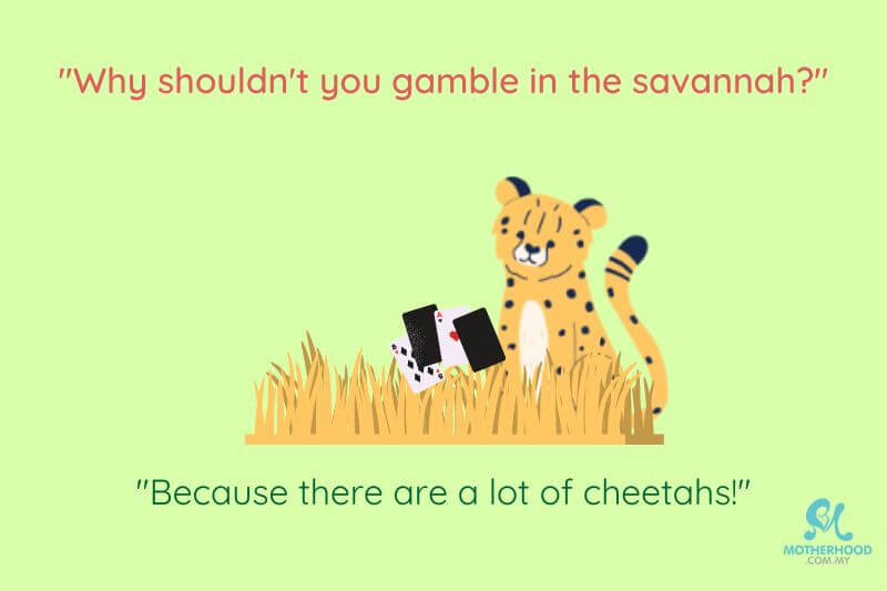 gamble-cheetah-joke
