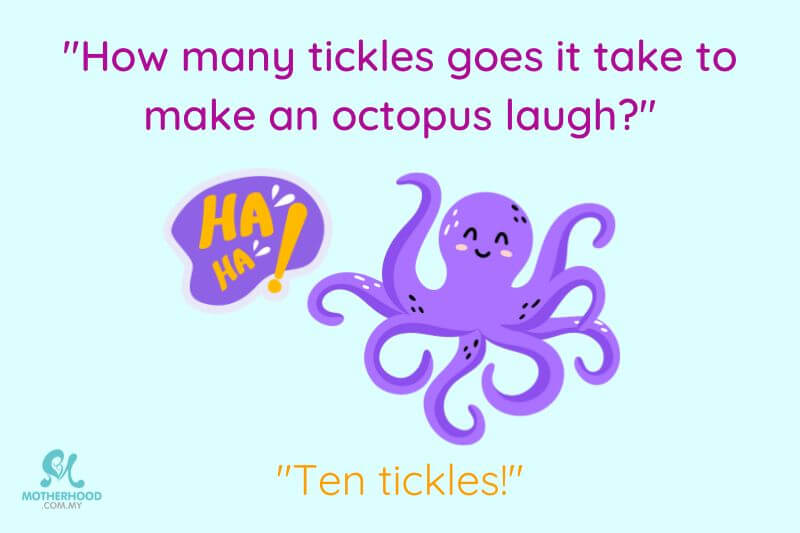octopus-tickles-joke