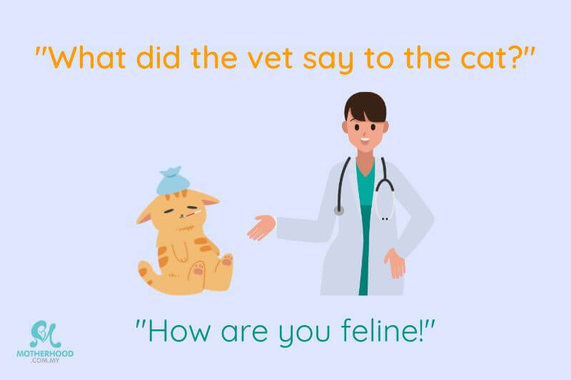 vet-feline-joke
