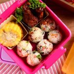 Rice lunch box - Balls and Chicken Teriyaki