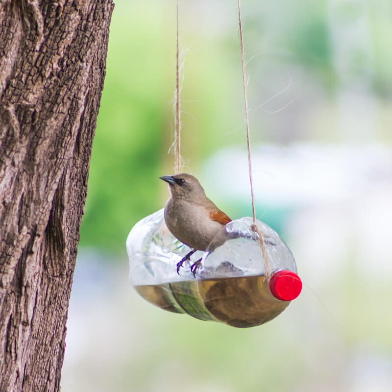 Plastic Bottle Craft Ideas Bird Feeder