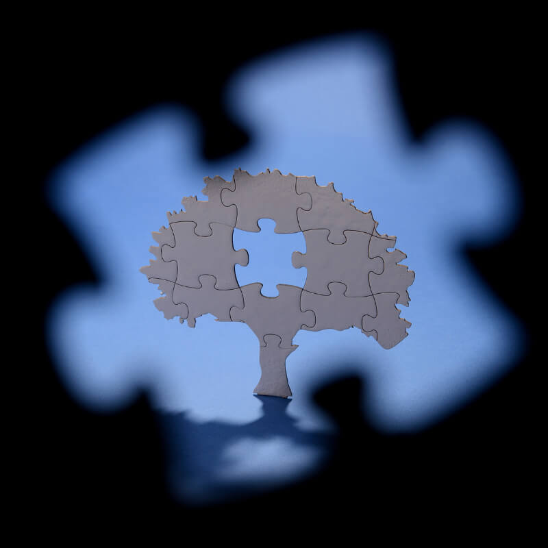 Tree Leaf Puzzle