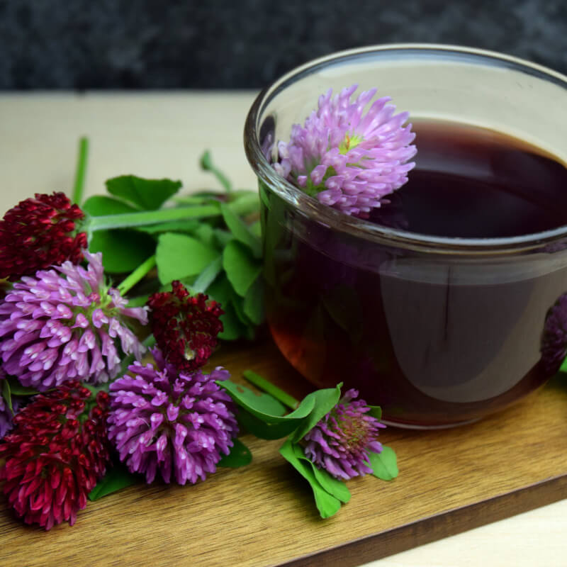 Red Clover Herb