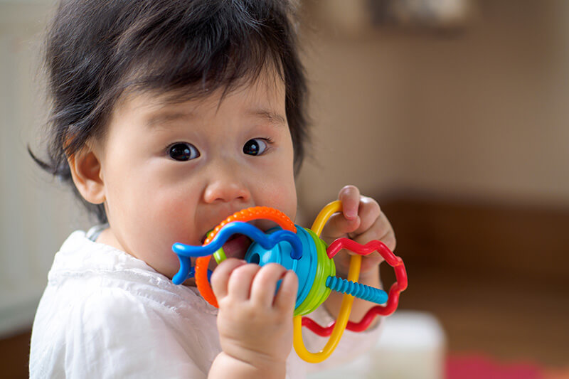 chew-toy