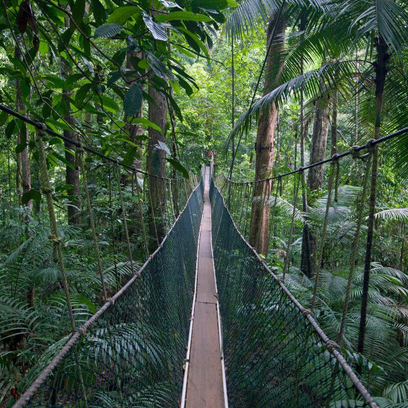 Taman Negara