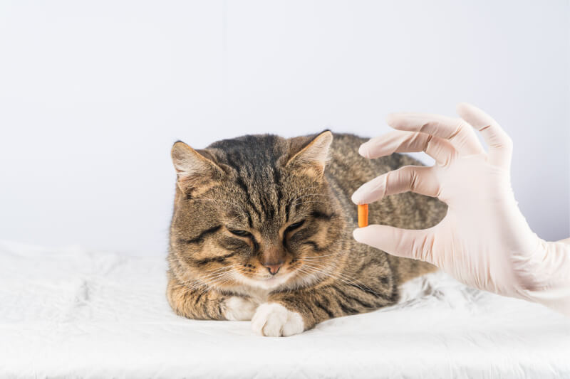deworming