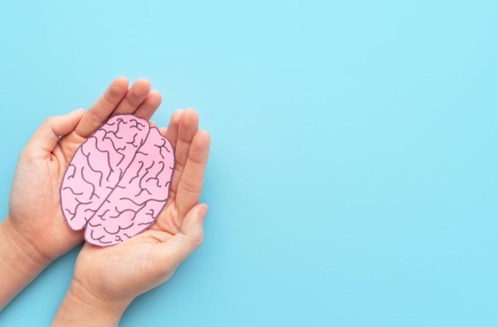 brain