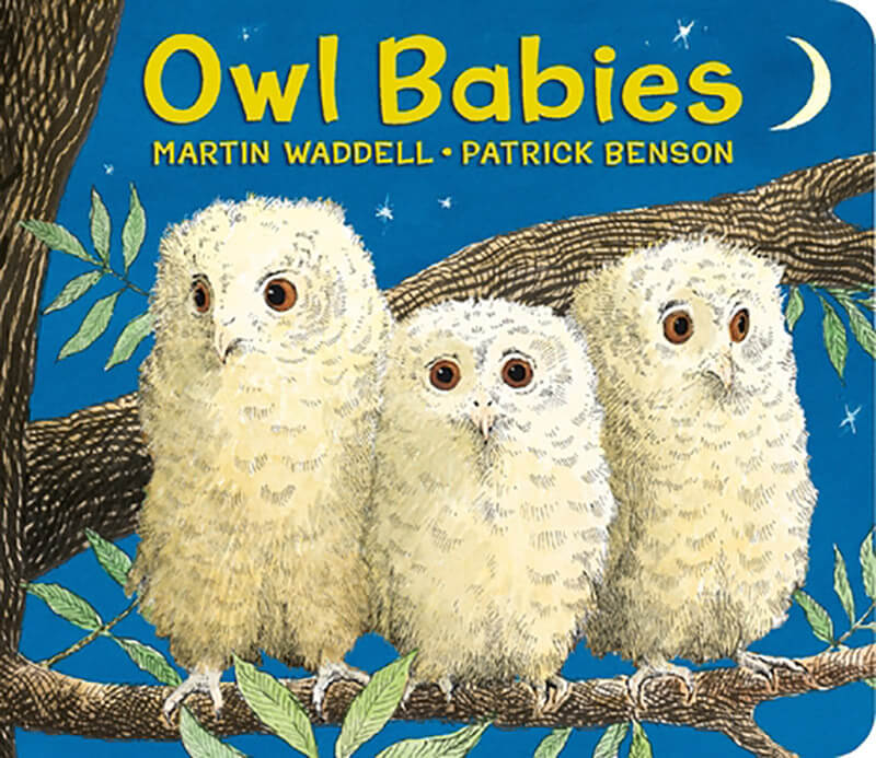 owl-babies