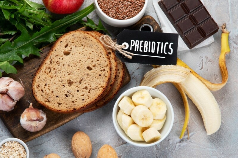 prebiotics