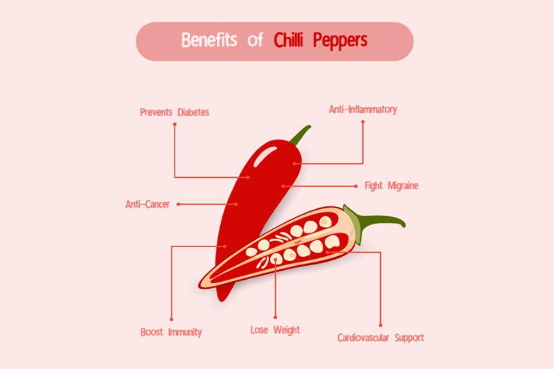 chilli benefits