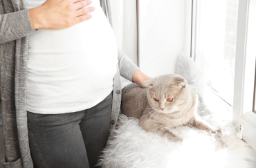 pets and pregnancy