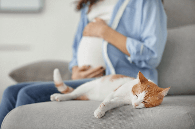 pets during pregnancy