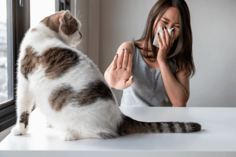 allergies from pets fur