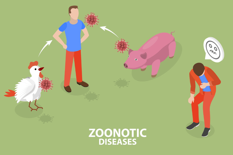 zoonotic diseases