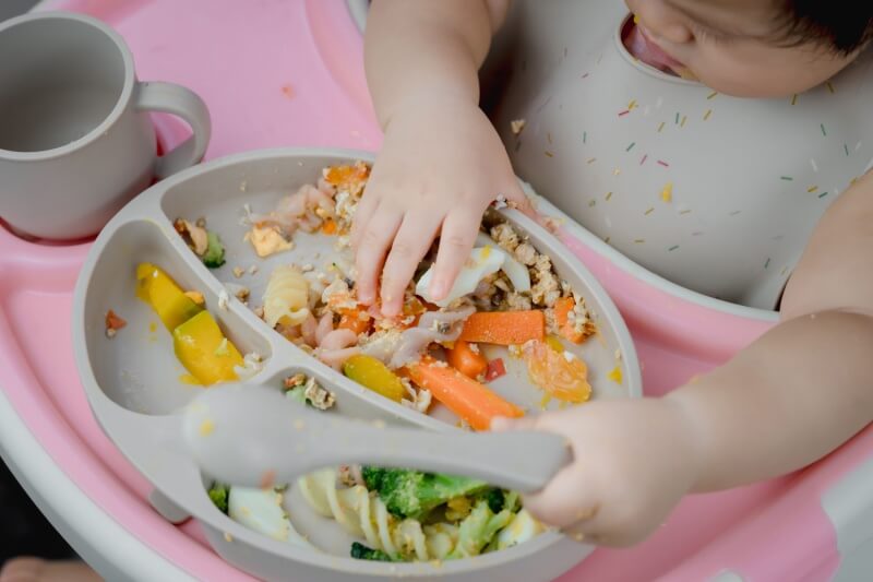 baby led weaning recipe ideas