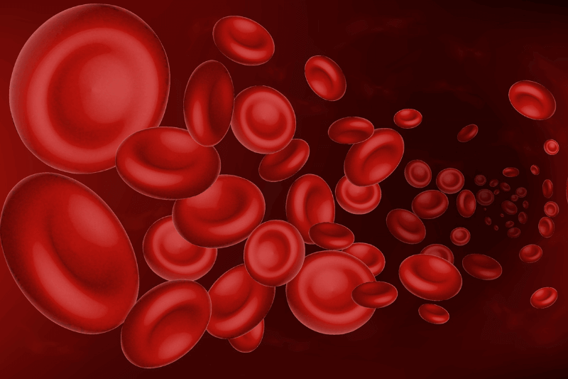 oedema increased blood volume