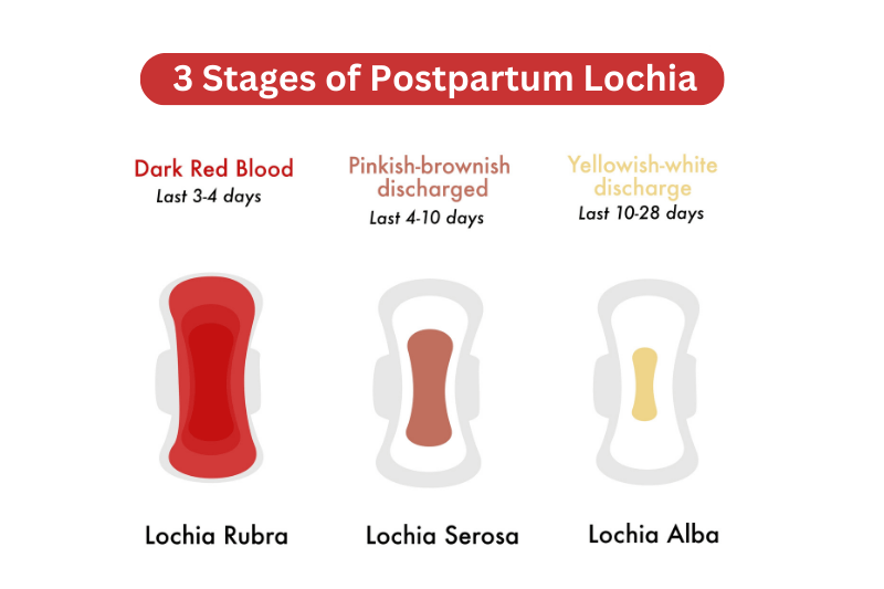 postpartum bleeding lochia