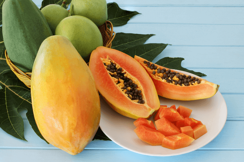 papaya