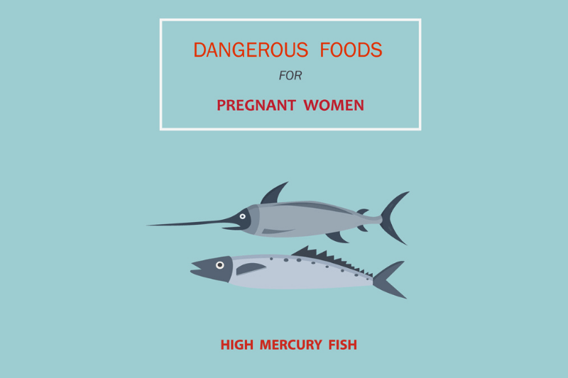 high mercury fish