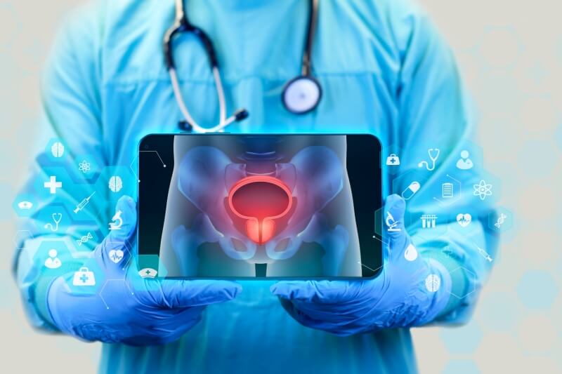 bladder