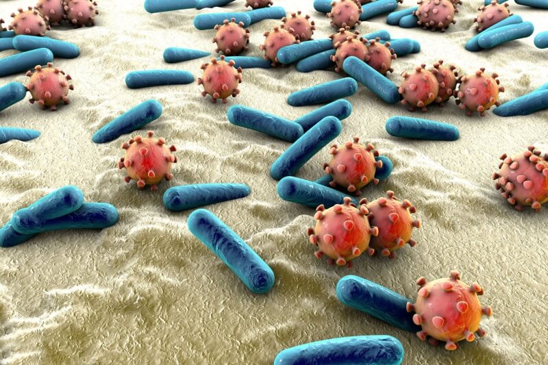 tuberculosis TB-virus