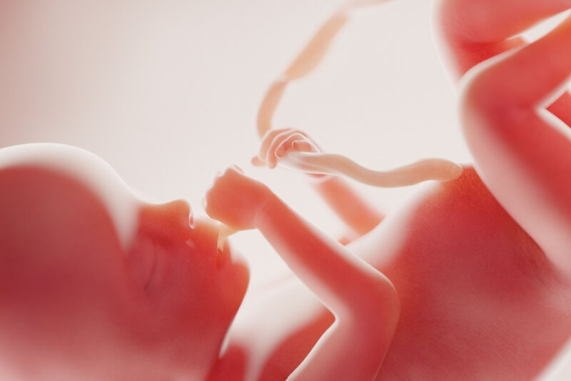 chemotherapy foetus