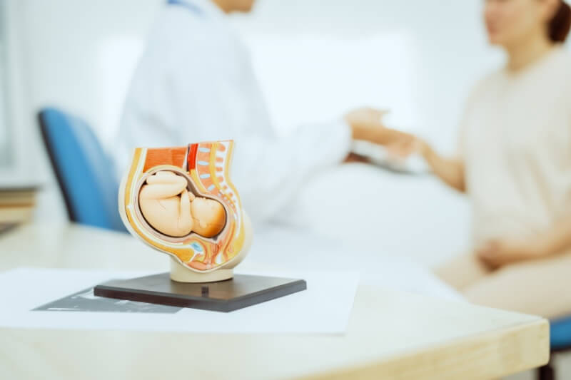 woman at the gynae meeting doctor during pregnancy
