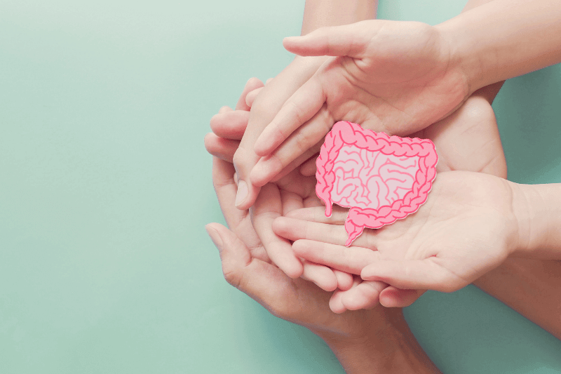 image of hands showing importance of gut health 