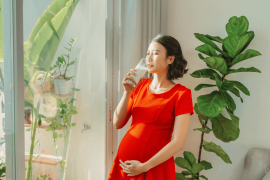 pregnant woman drinking milk when standing behind the window