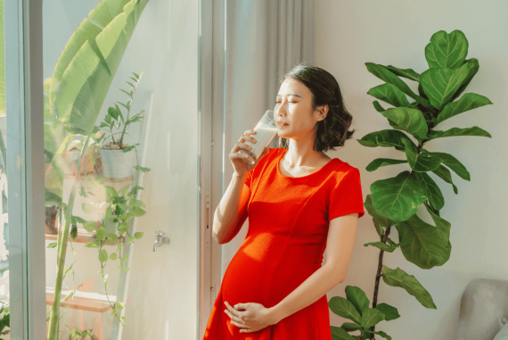 pregnant woman drinking milk when standing behind the window