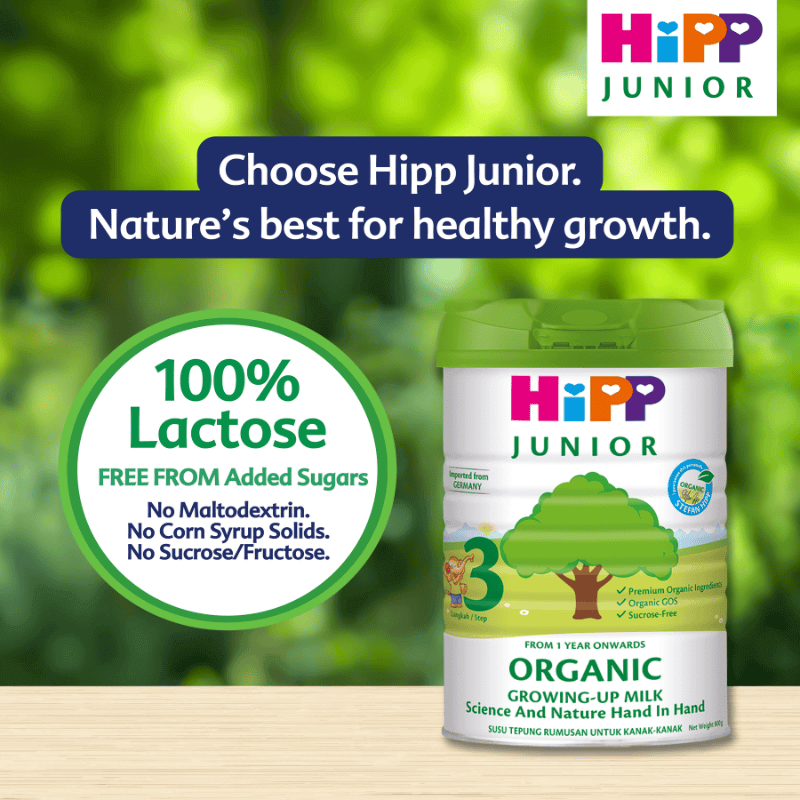 Hipp junior growing up milk for children
