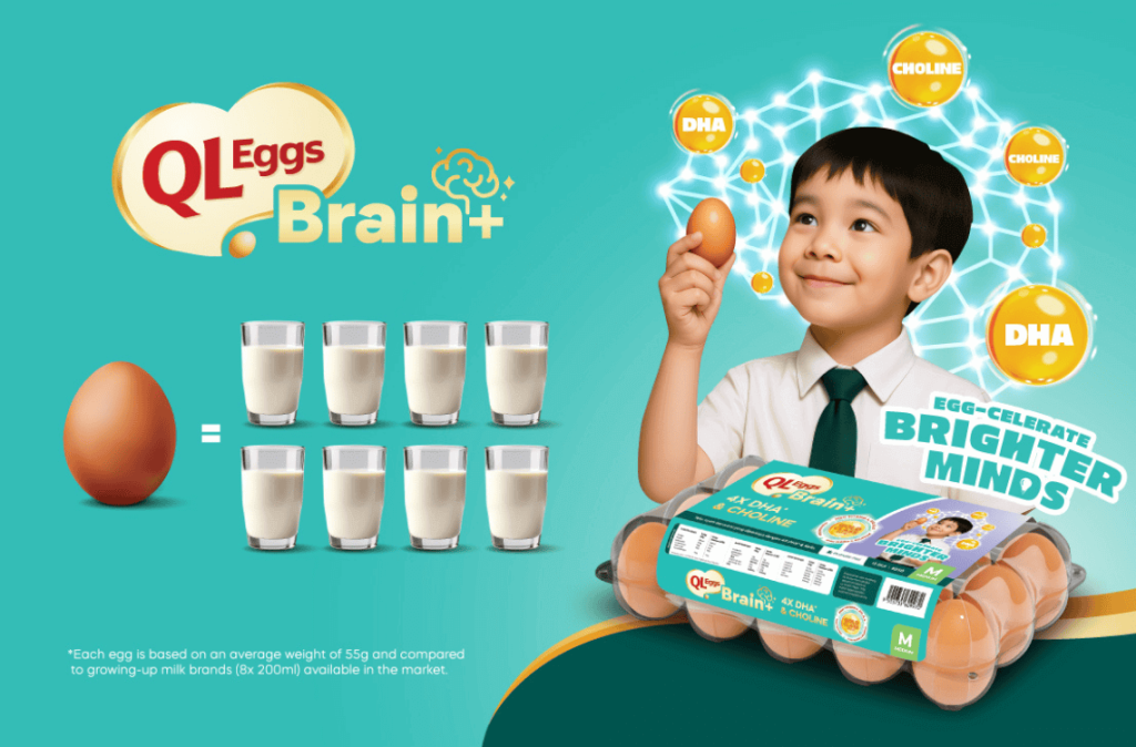 QL Eggs Brain +