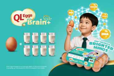 QL Eggs Brain +