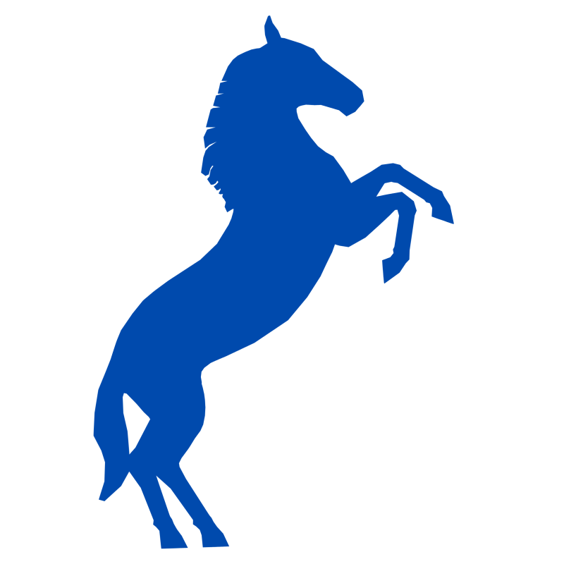 fire horse horse year of the horse