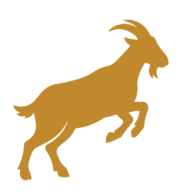 fire horse goat year of the horse