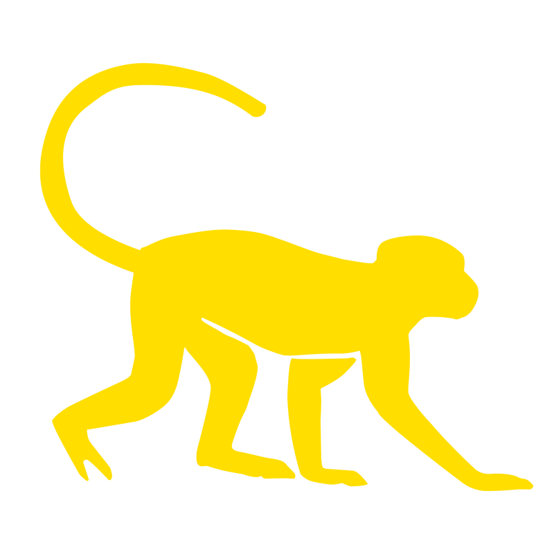 fire horse monkey year of the horse