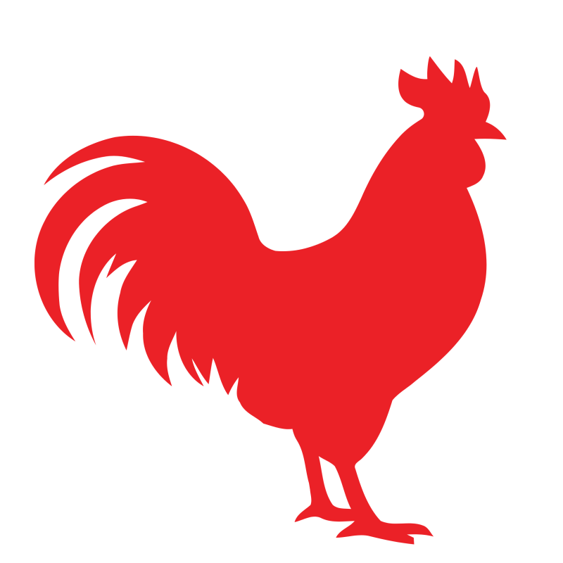 fire horse rooster year of fire horse