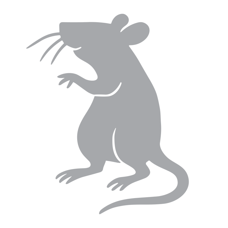 fire horse rat year of the horse