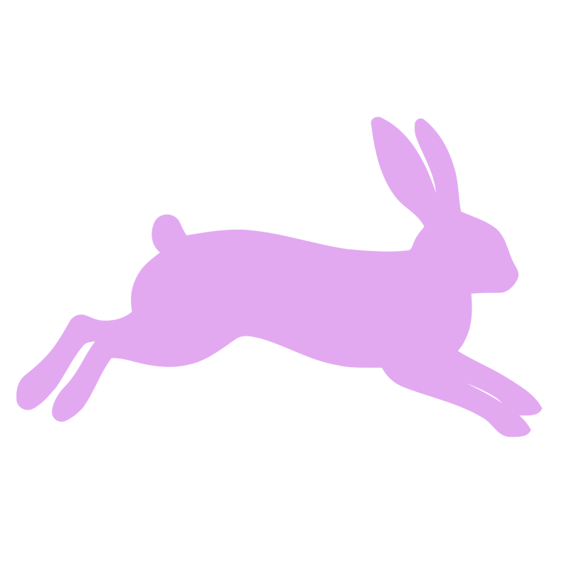 fire horse rabbit year of the horse