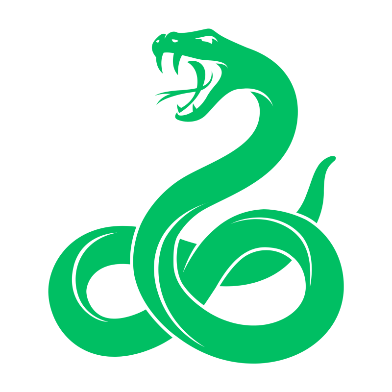 fire horse snake year of the horse