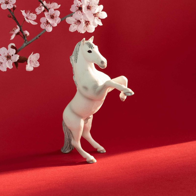 fire horse year of the fire horse
