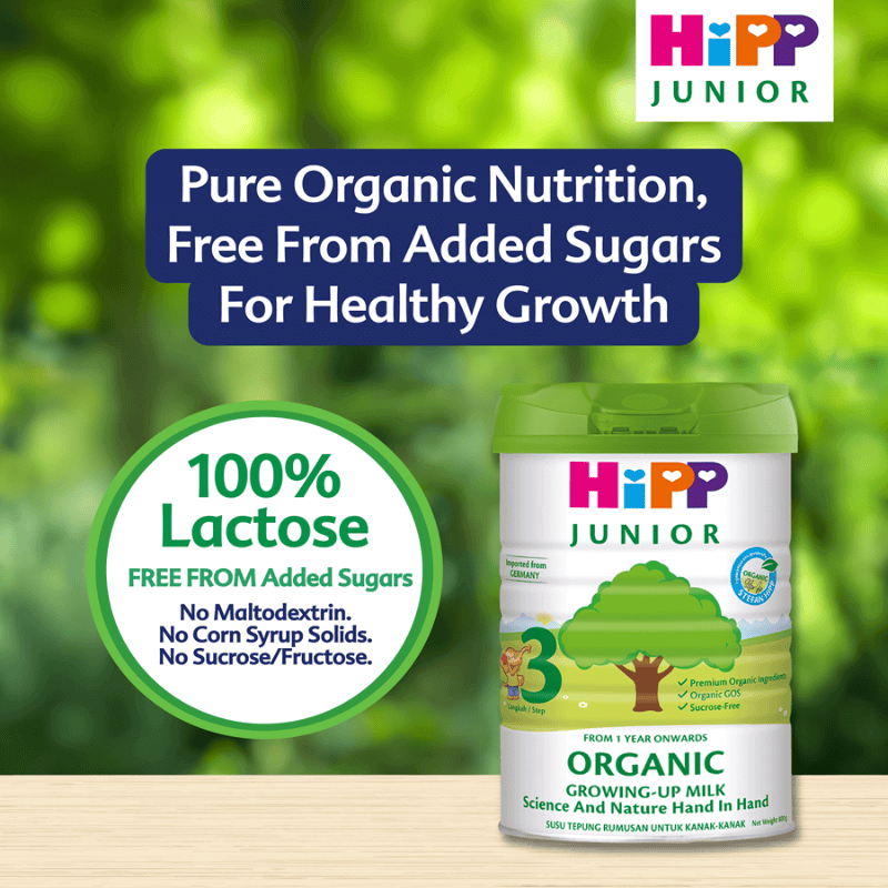 HiPP Junior Growing Up Milk