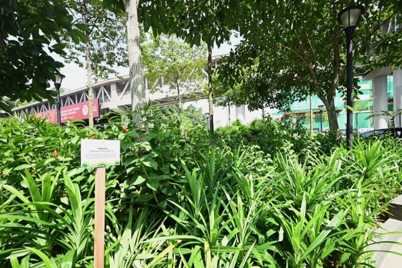 herb garden pavilion damansara