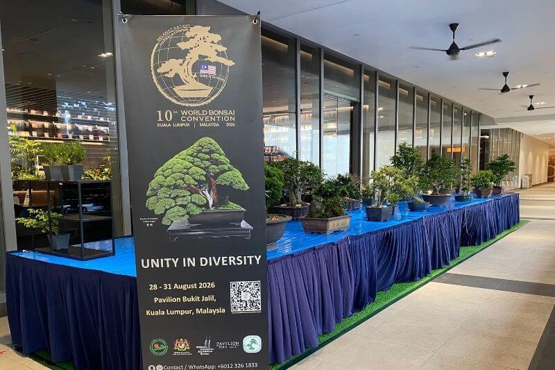 Bonsai Convention Pavilion Bukit Jalil