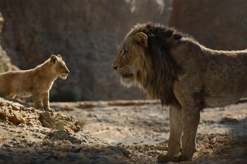 Lion King