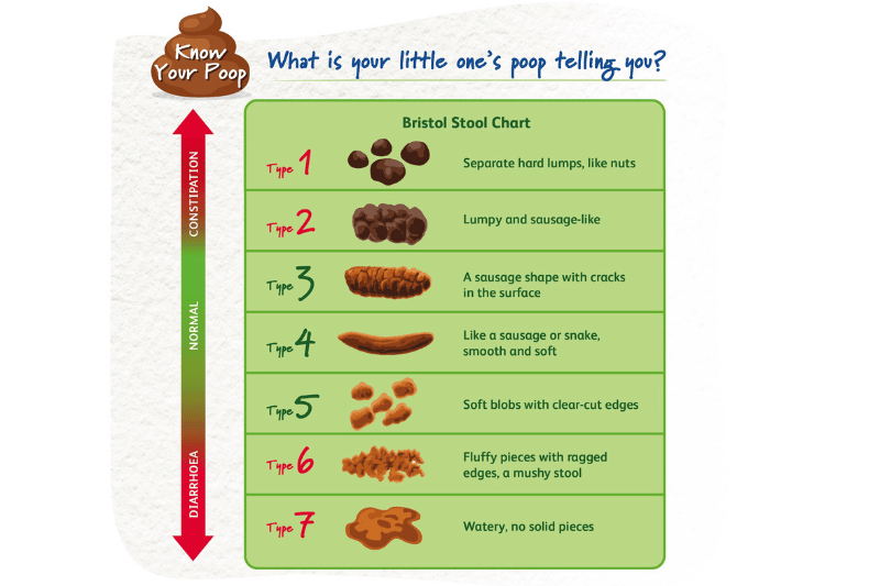 bristol stool chart malaysia