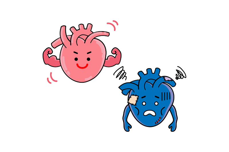 healthy and unhealthy heart