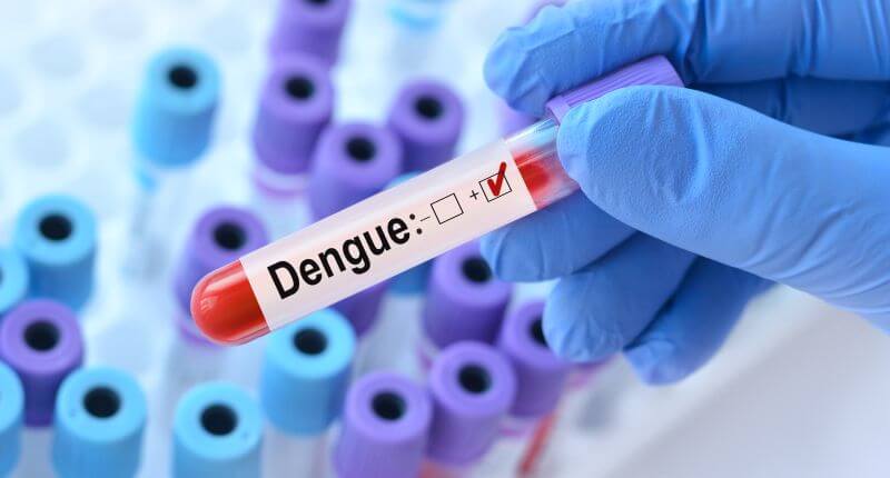 blood test for dengue